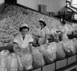 Next Generation Cooking - A old black and white image of women packing food in a factory.